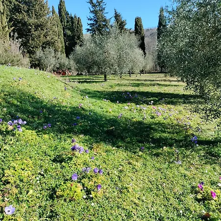 Agriturismo Natura E Salute-3